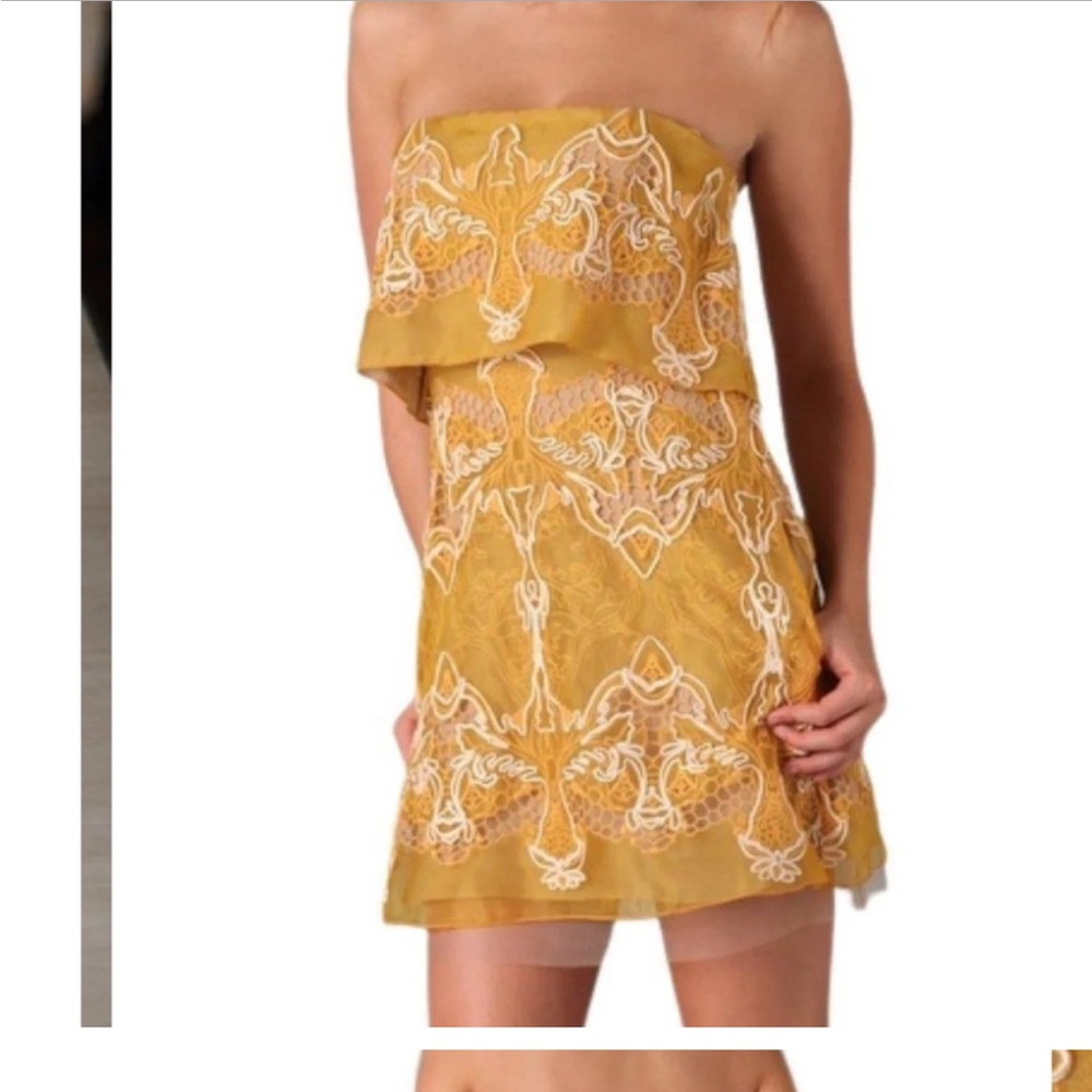 Absolutely stunning BCBG Max Azria Runway dress
